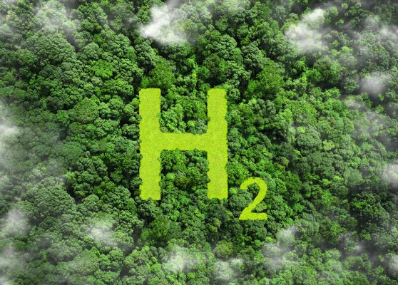 The H2 symbol over a canopy of trees with clouds